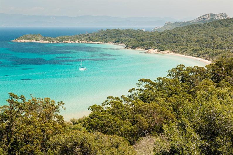 Joli Studio Entre La Mer Et La Ville Hyeres Ngoại thất bức ảnh